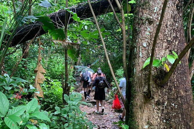 Rainforest Nature Walk & Luquillo Beach Combo - Luquillo Beach and the kiosks: your two-hour reset