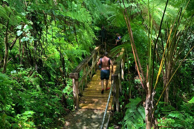 Rainforest Nature Walk & Luquillo Beach Combo - Guides make the difference: energy, humor, and real stories