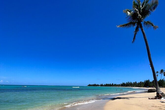 Rainforest Waterfall Slides/Adult Drinks included/ Beach - Key highlights you’ll feel fast