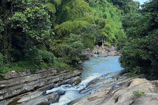 Rainforest Waterfall Slides/Adult Drinks included/ Beach - Lagoon waterfall, second slide, and the rope swing moment