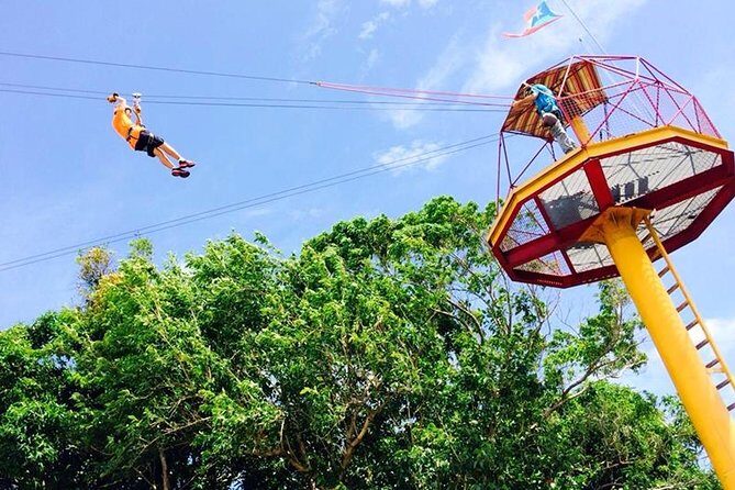Rainforest Zipline in Foothills of the National Rainforest - The Eight Zip Lines: A Course That Builds Confidence