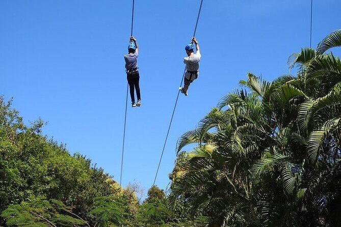 Rainforest Zipline in Foothills of the National Rainforest - What You’ll See Between the Lines (And Why It’s Worth Waiting)