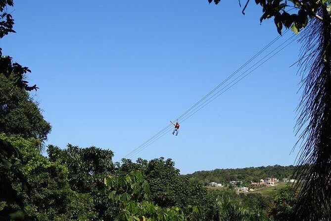 Rainforest Zipline in Foothills of the National Rainforest - What’s Included (and What You’ll Need to Handle)