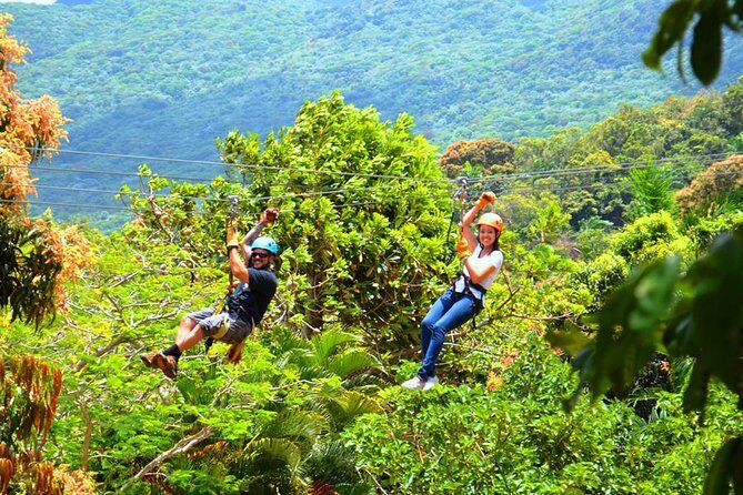 Rainforest Zipline in Foothills of the National Rainforest - Timing It Right: The 1 Hour 40 Minutes Reality