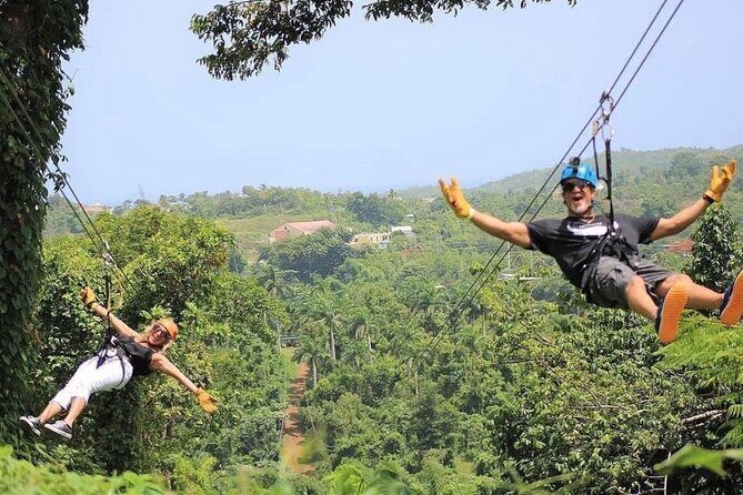 Rainforest Zipline in Foothills of the National Rainforest - Getting Harnessed Right: What “Safety First” Feels Like