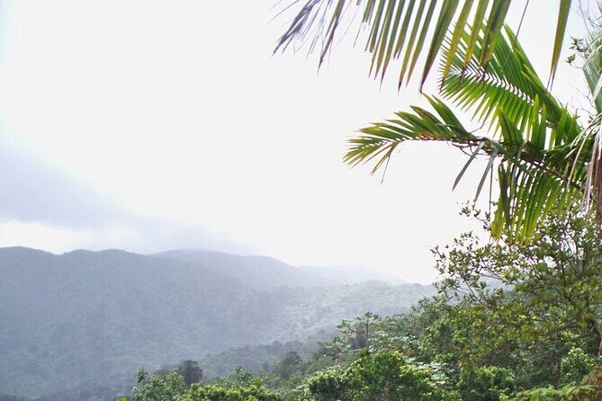 Rainforest Zipline, Luquillo Beach, and Natural Springs Day Trip - What the guides do best: safety coaching plus local context