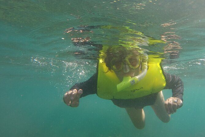 Rincon Snorkeling Adventure - What you’ll see at Tres Palmas: coral, turtles, and the Caribbean’s cast of characters