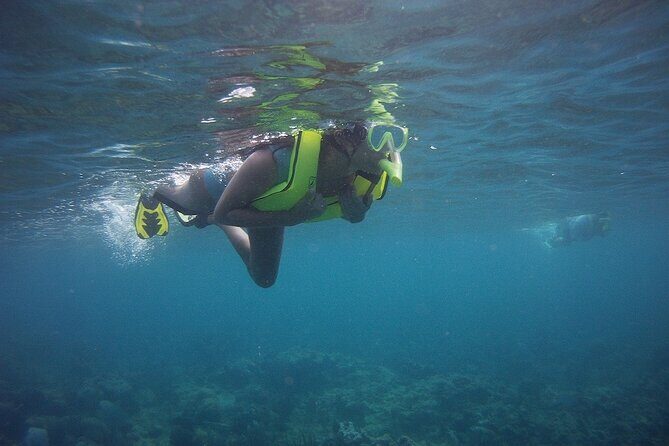 Rincon Snorkeling Adventure - Price and value: $59 for guided shore snorkeling is pretty reasonable