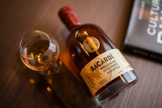 Rum Tasting Tour at Casa BACARDÍ in Puerto Rico - Who this tour fits best (and who should choose something else)