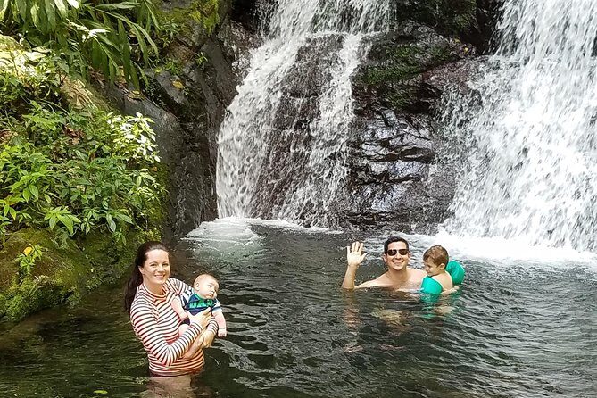Sacred Rainforest and Archaeological Experience - Key Highlights You’ll Actually Care About