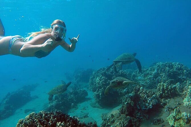 San Juan Guided Snorkel With Turtles Tour and Videos - Key Things to Know Before You Snorkel for Turtles in San Juan