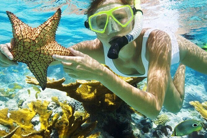 San Juan Guided Snorkeling Experience - With Transport 8am or 3pm - Key things you should know before you go