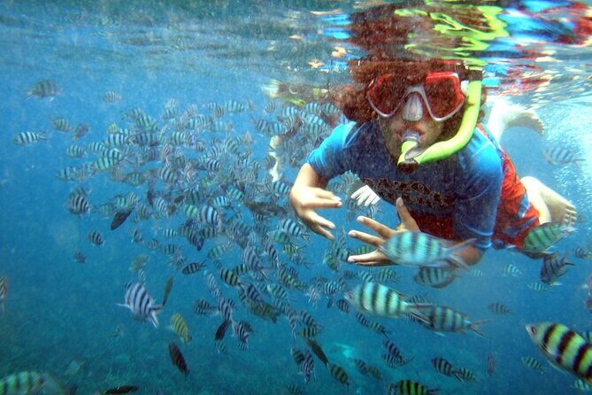 San Juan Guided Snorkeling Experience - With Transport 8am or 3pm - What the “guide time” is like in practice