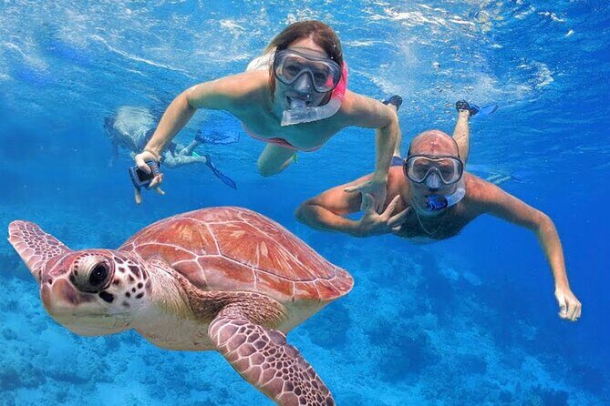 San Juan Guided Snorkeling Experience - With Transport 8am or 3pm - Should you book this guided snorkeling in San Juan?