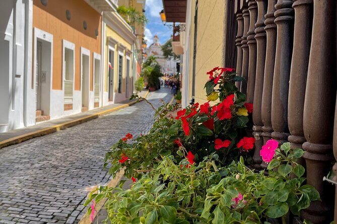 San Juan Highlights Driving Tour - Playa Pinones: Seafood Break and a More Local Tempo