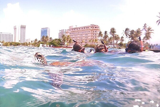 San Juan: Kids and Family Snorkeling Adventure with Videos - What’s Included in the $45 Price (and What Costs Extra)