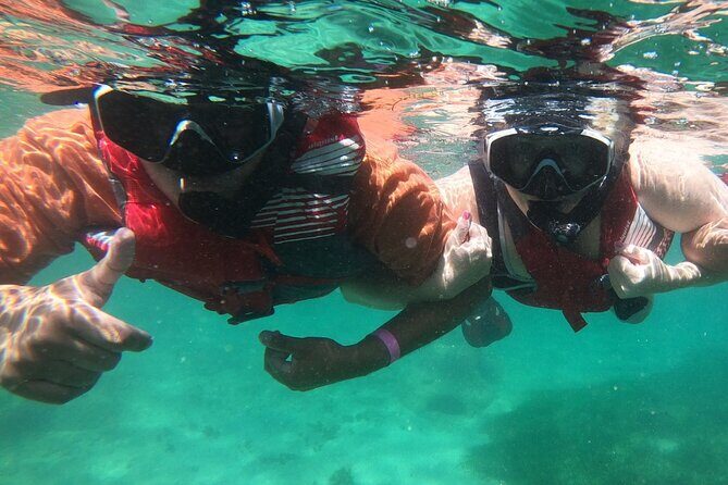 San Juan: Kids and Family Snorkeling Adventure with Videos - Your 90-Minute Timeline: A Practical Breakdown