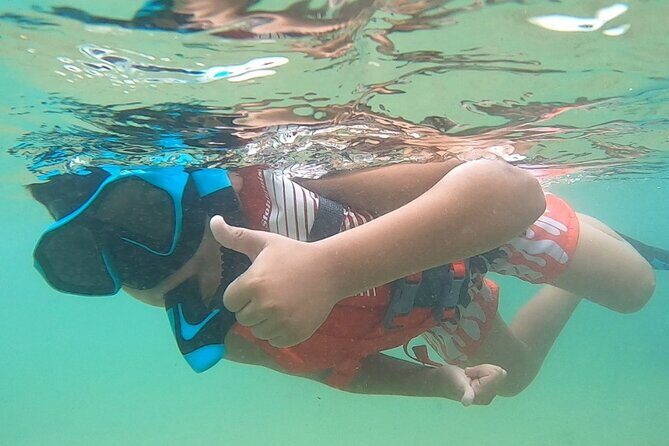 San Juan: Kids and Family Snorkeling Adventure with Videos - From Juvenile Fish to Green Sea Turtles: What You’ll See