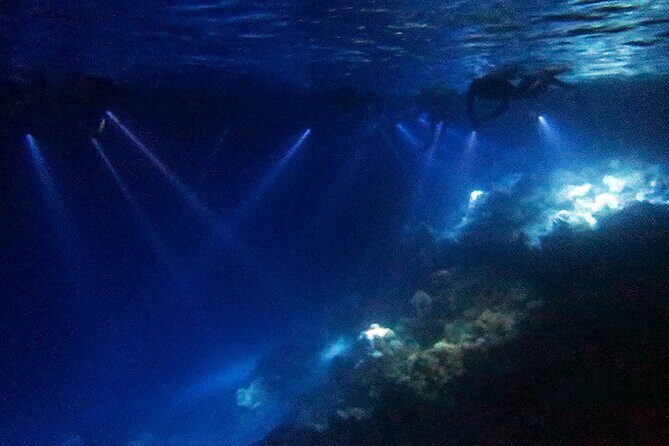 San Juan LED Night Snorkel - The 90-Minute Game Plan: Gear, Safety, and Light-Up Reef Time