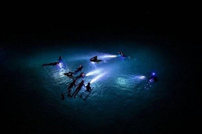 San Juan LED Night Snorkel - Who This Tour Fits (and Who Might Want a Daytime Alternative)