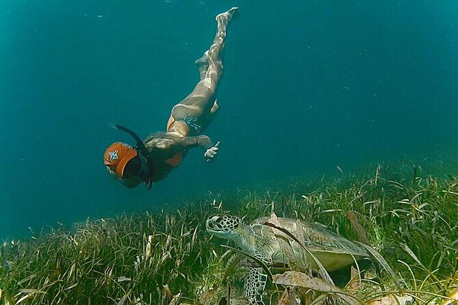 San Juan Snorkel with Turtles and Manatee's; Free Video and Rum! - The Free Video and Rum Shot: Real Souvenirs, Real Value