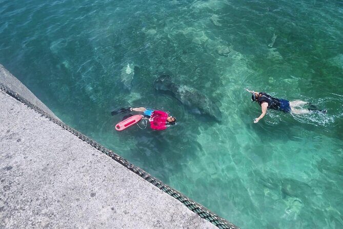 San Juan Snorkel with Turtles and Manatee's; Free Video and Rum! - Swimming Out Without a Boat: What to Expect in the Water