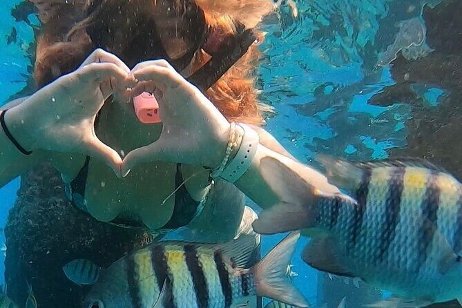 San Juan: Snorkeling with Turtles Adventure and Free Videos - Why the guides make or break your experience (Andrew, Alex, Luna, Janice, and more)