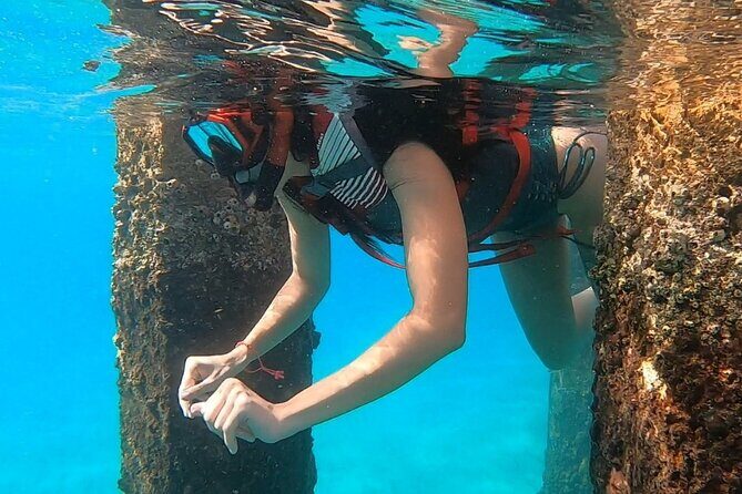 San Juan: Snorkeling with Turtles Adventure and Free Videos - Price and value: why $45 can work better than it looks