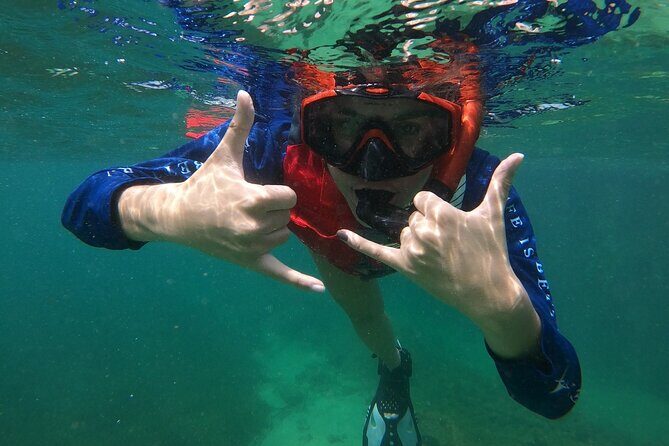 San Juan: Snorkeling with Turtles Adventure and Free Videos - Who should book this snorkeling with turtles trip