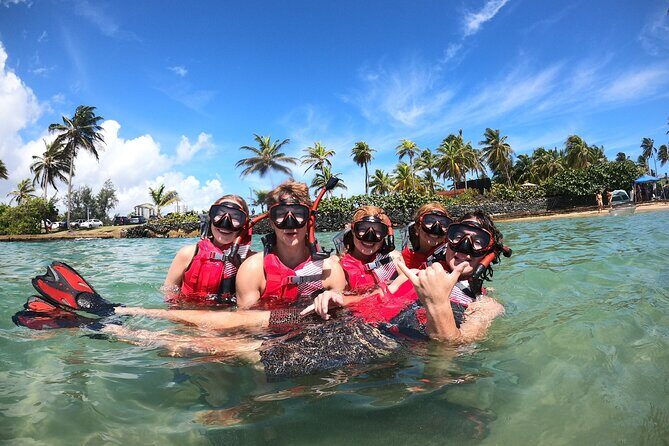San Juan: Snorkeling with Turtles Adventure and Free Videos - Gear, safety, and the small-group setup that helps you relax