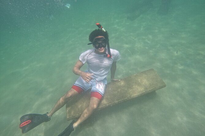 San Juan Turtle Spotting Snorkel Adventure with Videos - San Juan turtle spotting: what you’re really paying for