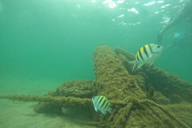 San Juan Turtle Spotting Snorkel Adventure with Videos - Step-by-step plan: how the 90 minutes usually flow