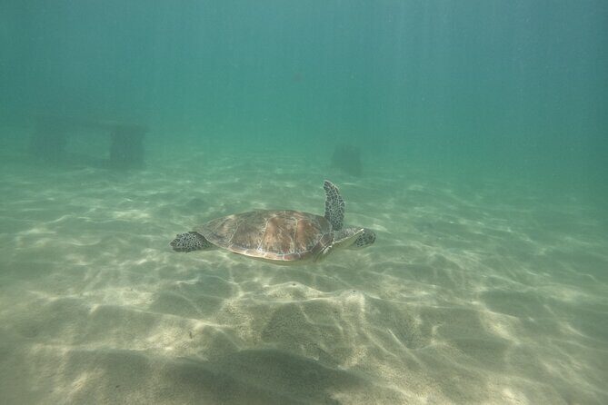 San Juan Turtle Spotting Snorkel Adventure with Videos - Balneario El Escambrón: the water stop and what it feels like