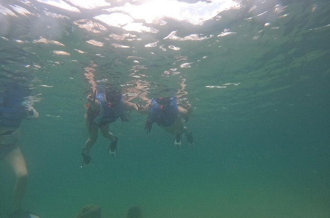 San Juan Turtle Spotting Snorkel Adventure with Videos - The guides: why names keep coming up