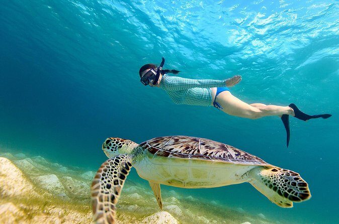 San Juan Turtle Spotting Snorkel Adventure with Videos - Group size and comfort: who this tour fits best