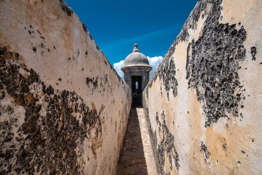 San Juan: Walking Tour with Expert Guide - Paseo de la Princesa to the Governor’s Residence