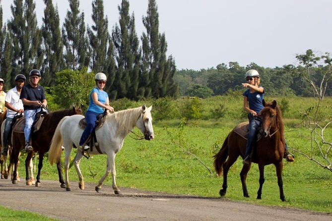 Scenic Horseback Riding Tour from San Juan - From San Juan pickup to Hacienda Campo Rico: the part that saves you time