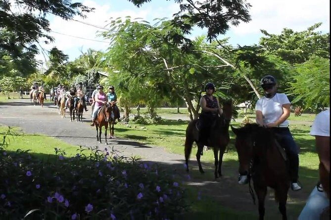 Scenic Horseback Riding Tour from San Juan - What I’d watch for on the ground: mud, bugs, and heat