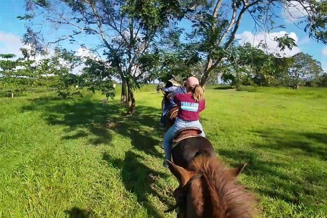 Scenic Horseback Riding Tour from San Juan - Horse comfort and safety rules you should not ignore