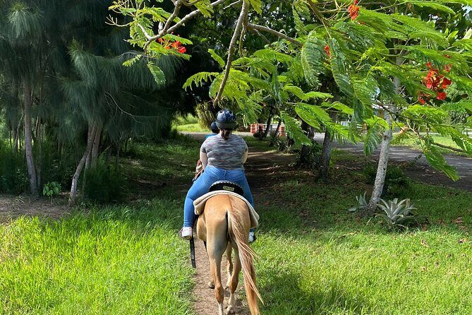 Scenic Horseback Riding Tour from San Juan - Who this horseback tour is best for (and who should skip it)