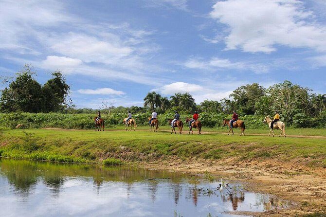 Scenic Horseback Riding Tour from San Juan - Should you book this ride from San Juan?
