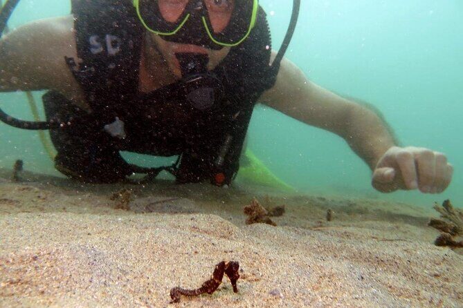 Scuba Tour for Certified Divers in San Juan - Facilities and Comfort That Keep the Day Easy