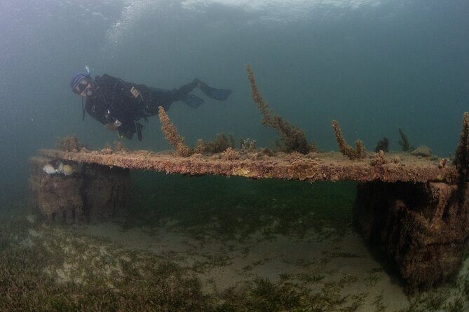 Scuba Tour for Certified Divers in San Juan - Who This Fits Best (and Who Should Skip It)