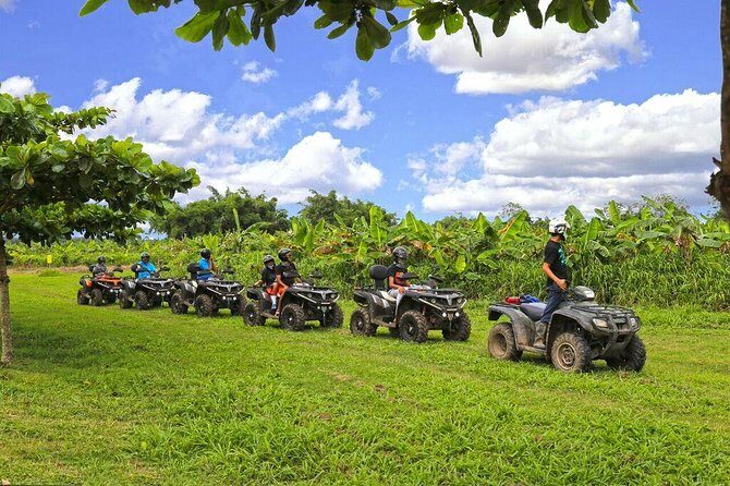 Single ATV Experience: Free Piña Colada + Hacienda Transfer - Horse stables and Paso Fino: the ranch side of Puerto Rico