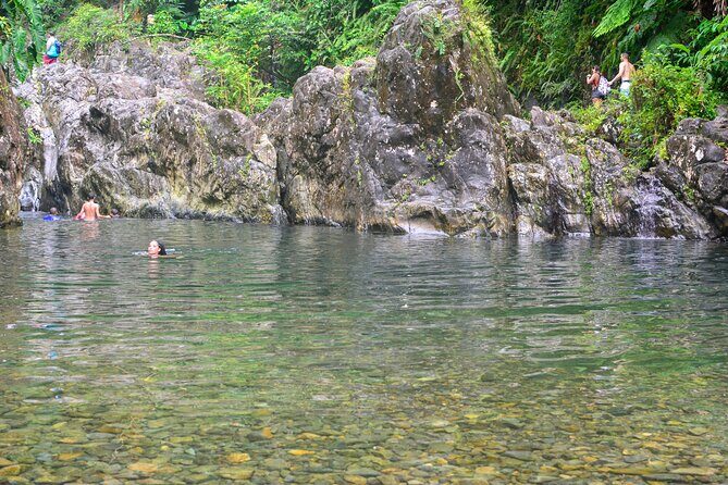 Small-Group El Yunque Rainforest Vivid Day Tour with Transport - The Big Win: Small-Group Energy in a Real Rainforest