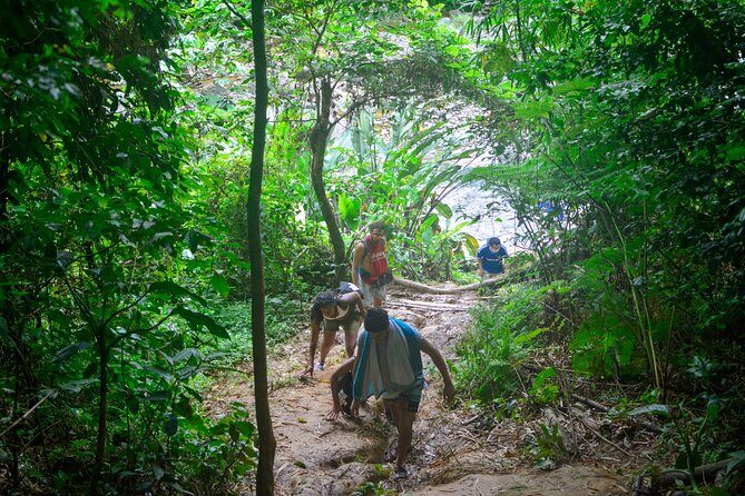 Small-Group El Yunque Rainforest Vivid Day Tour with Transport - Stop Two: Las Tinajas Charco Frío Waterfalls and Water Activities