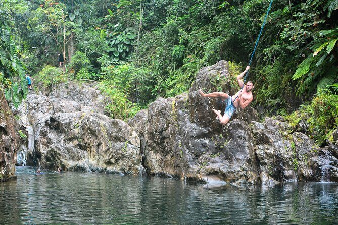 Small-Group El Yunque Rainforest Vivid Day Tour with Transport - What You Learn in El Yunque (Beyond “Pretty Trees”)