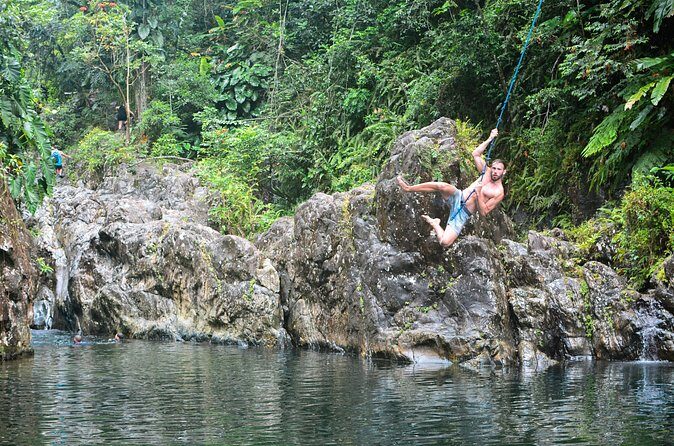 Small-Group El Yunque Rainforest Vivid Day Tour with Transport - Value for $75: Why This Feels Like More Than a Simple Tour