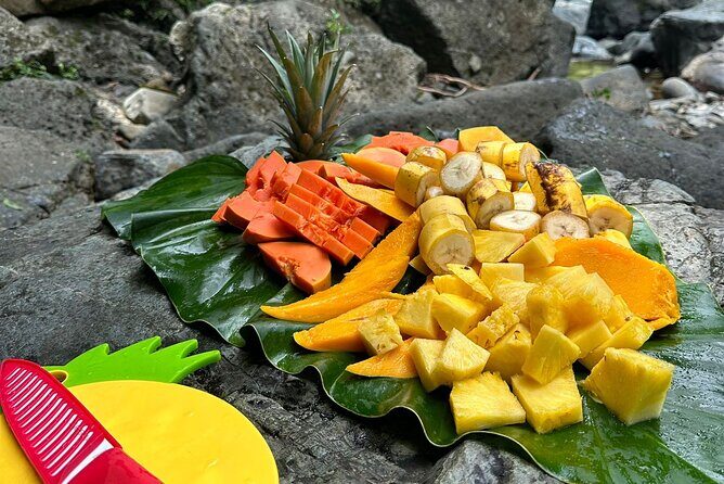 Small-Group El Yunque Rainforest with Transport Half Day - The Water Stops: What You Can Expect in About 4 Hours