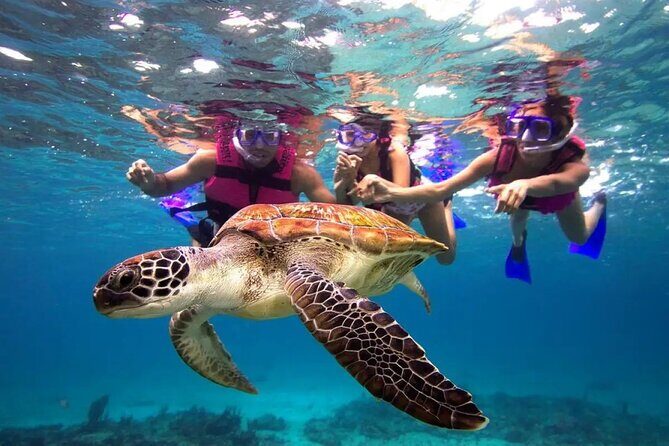 Snorkel, Swim & Snap-w/ Video - Key things I’d zero in on